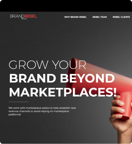 slide for Brand Rebel Media project